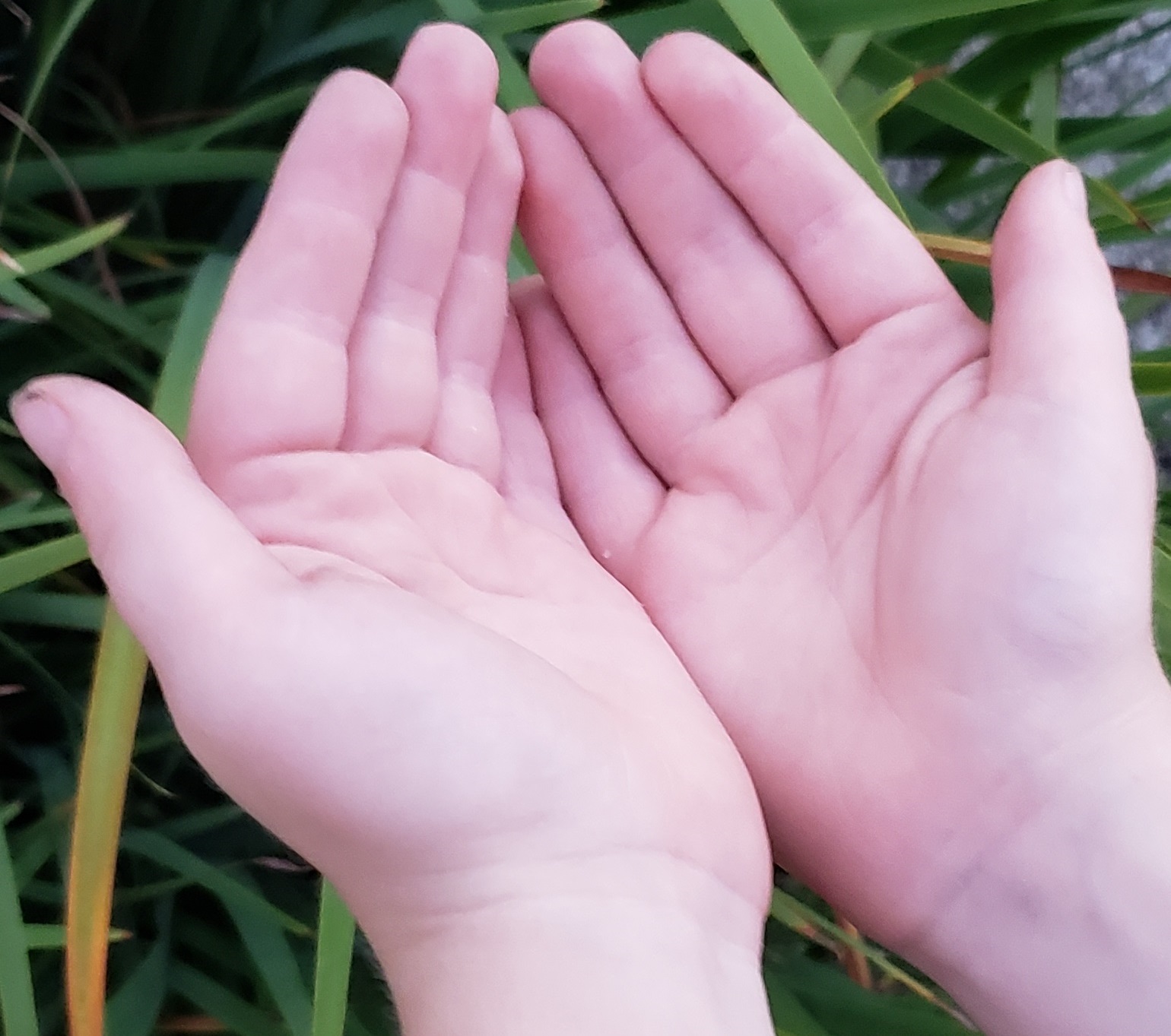 [Photo: Hands Praying Giving Receiving]